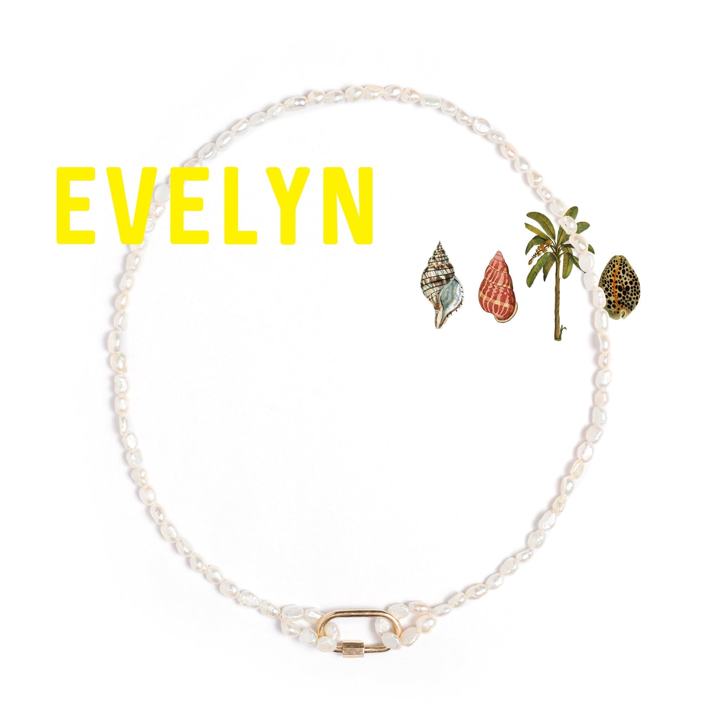 Evelyn // HOMEGROWN November '21